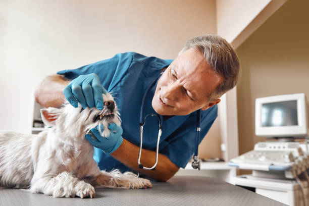 Best Broken Tooth Emergency  in Grambling, LA
